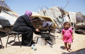 اليوم الدولي للتضامن مع الشعب الفلسطيني .. معاناة وآمال أهالي غزة