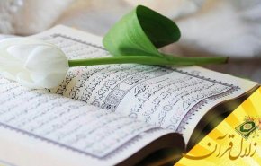 طهارت نفس از آلودگی‌ها ( اعتقادی و عملی ) چه اثری بر قلب انسان دارد؟ 