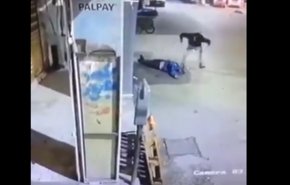 فيديو مؤلم.. شاب فلسطيني يهب لإنقاذ الجرحى يفاجأ بجثمان أخيه الشهيد!