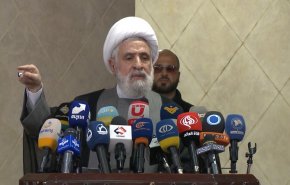 الشيخ نعيم قاسم: المقاومة الخيار الحصري والوحيد للشعب الفلسطيني + فيديو