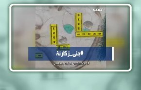هاشتاغ.. جنى زكارنة.. شهيدة فلسطين الجديدة + فيديو