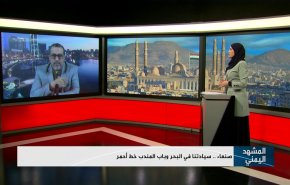 صنعاء: سيادتنا في البحر وباب المندب خط أحمر