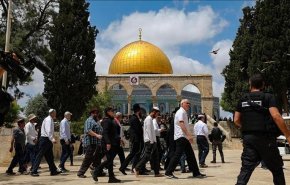 بحماية مشددة من قوات الاحتلال..المستوطنون يقتحمون الاقصى من باب المغاربة