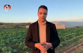 شاهد.. أمطار ديسمبر تعيد الأمل للمزارعين المغاربة 
