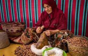 مستقبل صناعة زيت الأرغان بالمغرب في خطر.. لهذا السبب  