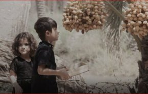اشجار النخيل في ايران وتمورها.. الرمز والثقافة والحضارة 