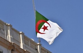 الجزائر/بيع لحوم القطط على أساس أنها أرانب