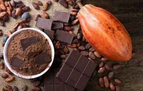 كيف تذوب الشوكولاتة في فمنا؟