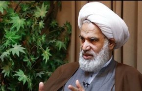 عضو مجلس خبراء القيادة: تحرك أوروبا منصة لأعمال إرهابية ضد الشعب الإيراني