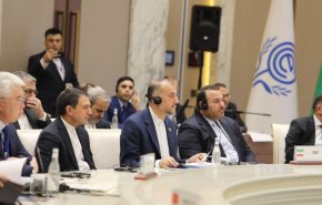 عبداللهيان: مستعدون لمشاركة إنجازات الشركات المعرفية مع أعضاء منظمة (ايكو)