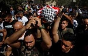 مصر تبادر للسيطرة على تداعيات مجزرة جنين
