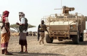 فضح علاقة تحالف العدوان بتنظيم القاعدة الإجرامي