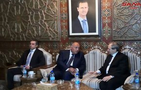 فيصل المقداد يستقبل سامح شكري في مطار دمشق الدولي