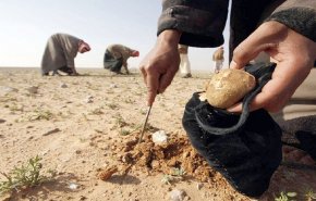 'داعش' يقتل 15 شخصا أثناء جمعهم الكمأة وسط سوريا
