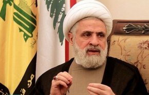 الشيخ قاسم: لبنان لا يملك ترف الوقت لتكبير الازمة