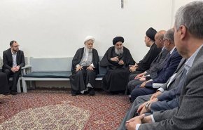 السيد السيستاني يستقبل جمعاً من اطباء النجف ويشيد بجهودهم في علاج المرضى + صور