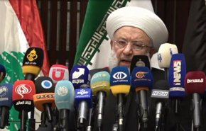 ماهر حمود: تضحيات محور المقاومة لنصرة فلسطين أثمرت النصر +فيديو