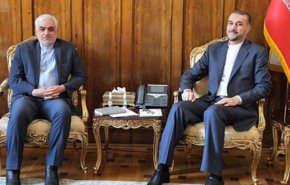 سفير ايران الجديد في اسبانيا يلتقي امير عبداللهيان
