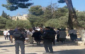 مستوطنون يقتحمون باحات الأقصى ويؤدون طقوسا تلمودية

