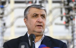 اسلامي: 