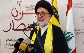 السيد إبراهيم السيد: المقاومة في المنطقة انتصرت 