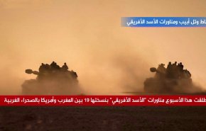 باختصار.. الرباط وتل أبيب ومناورات الأسد الأفريقي