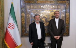 عبداللهيان : نواصل دعم المقاومة المشروعة للشعب الفلسطيني ضد الاحتلال الصهيوني