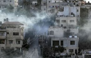 بالفيديو.. 
