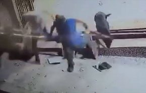 شاهد.. مستوطنون يمزقون المصحف الشريف في مدخل احد مساجد نابلس