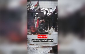 فيديوغرافيك..الجولان مابین الماضي والحاضر