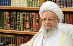 المرجع مكارم شيرازي: على كل الأديان والمؤسسات الدولية إدانة الإساءة للقرآن الكريم