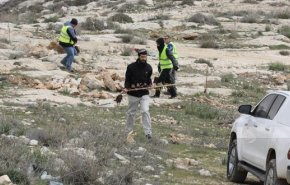 مستوطنون يعتدون على أراضي الفلسطينيين وممتلكاتهم في بيت لحم ونابلس