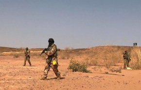 القبض على كبار إرهابيي 'داعش' في النيجر
