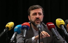 غريب ابادي: نتابع قانونيا و دوليا حقوق ضحايا الارهاب وجرحى الهجمات الكيماوية