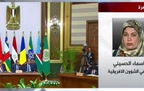 بالفيديو.. هل تستطيع قمة دول جوار السودان اخماد نيران الحرب؟