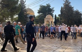 یورش شهرک نشینان به مسجد الاقصی تحت تدابیر شدید پلیس اشغالگر  