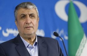 إسلامي: توليد الكهرباء في محطة بوشهر تجاوز 60 مليار كيلوواط / ساعة