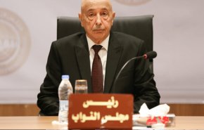 ليبيا..عقيلة صالح يؤكد على ضرورة تشكيل الحكومة وإجراء الانتخابات