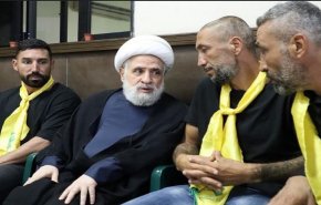 الشيخ قاسم: ما حصل في الكحالة هو محاولة اصطناع قضية ليست موجودة