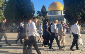 بالصور.. عشرات المستوطنين يقتحمون المسجد الأقصى