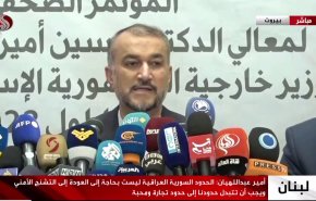 وزير الخارجية: لدينا إرادة سياسية تدفع كافة الأطراف للعودة للاتفاق النووي
