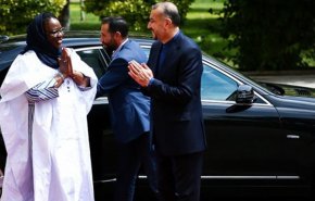 أمير عبد اللهيان يزور بوركينا فاسو