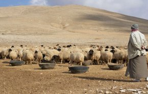 8 شهداء وجرحى بهجوم إرهابي على رعاة أغنام بريف دير الزور
