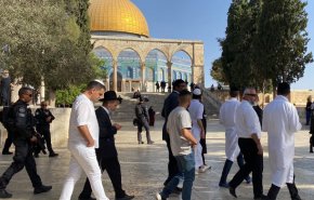 اعتقال 7 فلسطينيين بالضفة وعشرات المستوطنين يقتحمون الأقصى