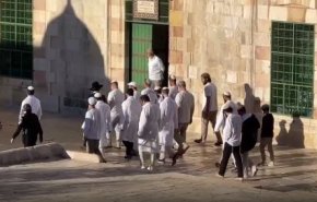 مئات المستوطنين يقتحمون المسجد الأقصى 