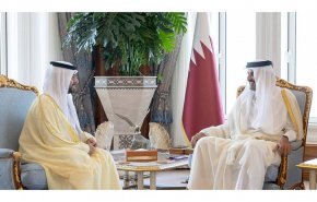 أمير قطر يتسلم أوراق اعتماد السفير الإماراتي الجديد لدى الدوحة