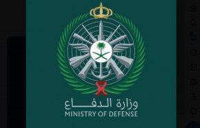 إعدام طيارين سعوديين.. موقع أمريكي يفجر مفاجأة عن السبب
