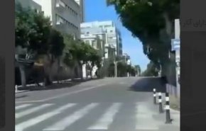 شاهد. 