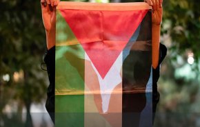 وقفة تضامنية مع الشعب الفلسطيني في العاصمة الجزائر + فيديو