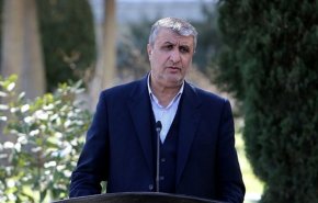 اسلامي: اتخذنا خطوات اساسية للاسراع بتنفيذ الوحدتين 2 و 3 لمحطة بوشهر 